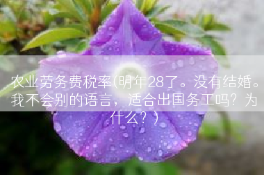 农业劳务费税率(明年28了。没有结婚。我不会别的语言，适合出国务工吗？为什么？)