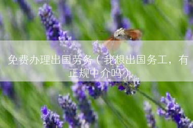免费办理出国劳务（我想出国务工，有正规中介吗）