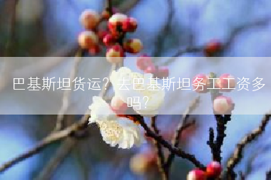 巴基斯坦货运？去巴基斯坦务工工资多吗？
