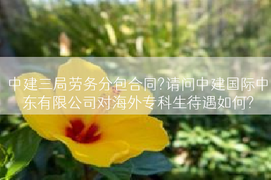 中建三局劳务分包合同?请问中建国际中东有限公司对海外专科生待遇如何?