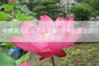 中国最大出国劳务平台?劳务派遣出国打工靠谱吗?