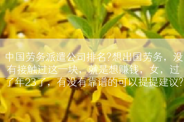 中国劳务派遣公司排名?想出国劳务，没有接触过这一块，就是想赚钱，女，过了年23了，有没有靠谱的可以提提建议?