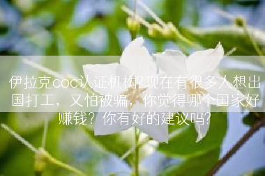 伊拉克coc认证机构?现在有很多人想出国打工，又怕被骗，你觉得哪个国家好赚钱？你有好的建议吗?