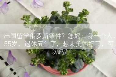 出国留学俄罗斯条件？您好：我一个人，55岁，退休五年了，想去美国打工，可以吗？