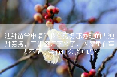 迪拜留学申请？我在劳务那办理的去迪拜劳务，工作签证下来了，因家里有事去不了，会有什么影响吗？