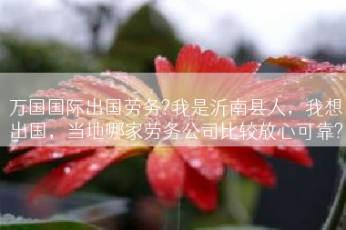 万国国际出国劳务?我是沂南县人，我想出国，当地哪家劳务公司比较放心可靠?