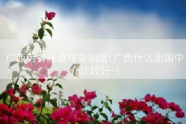 广西劳务派遣规章制度(广西什么出国中介比较好~)