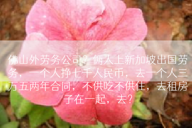 佛山外劳务公司？俩人上新加坡出国劳务，一个人挣七千人民币，去一个人三万五两年合同，不供吃不供住，去租房子在一起，去？