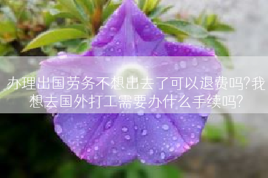 办理出国劳务不想出去了可以退费吗?我想去国外打工需要办什么手续吗?