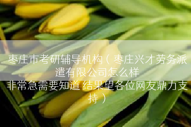 枣庄市考研辅导机构（枣庄兴才劳务派遣有限公司怎么样
非常急需要知道 结果望各位网友鼎力支持）
