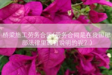 桥梁施工劳务合同(劳务合同是在我国那部法律里面有说明的呢？)