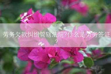 劳务欠款纠纷管辖法院?什么是劳务签证?