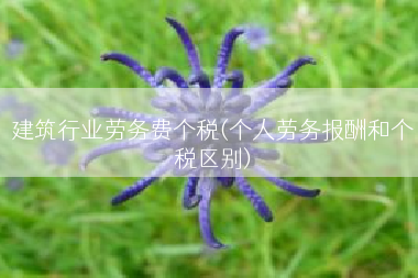建筑行业劳务费个税(个人劳务报酬和个税区别)