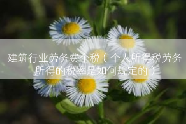 建筑行业劳务费个税（个人所得税劳务所得的税率是如何规定的）