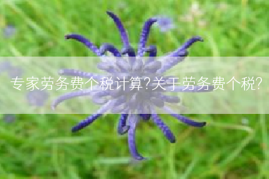 专家劳务费个税计算?关于劳务费个税?