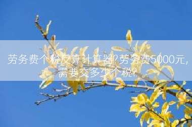 劳务费个税反算计算器?劳务费5000元,需要交多少个税?