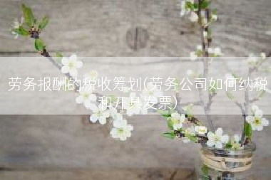 劳务报酬的税收筹划(劳务公司如何纳税和开具发票)