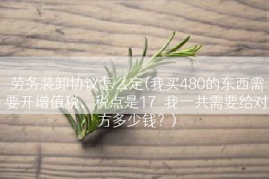 劳务装卸协议怎么定(我买480的东西需要开增值税，税点是17％我一共需要给对方多少钱？)