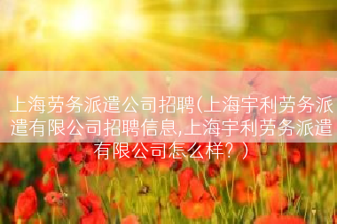 上海劳务派遣公司招聘(上海宇利劳务派遣有限公司招聘信息,上海宇利劳务派遣有限公司怎么样？)
