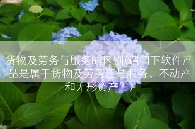 货物及劳务与服务的区别(请问下软件产品是属于货物及劳务还是服务、不动产和无形资产？)