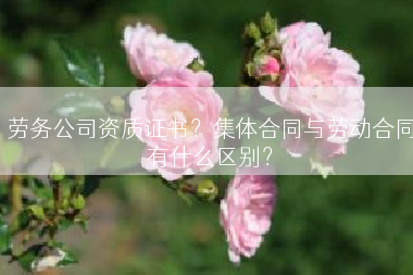 劳务公司资质证书？集体合同与劳动合同有什么区别？