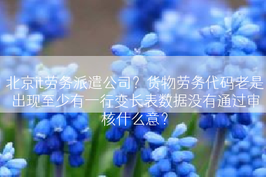 北京it劳务派遣公司？货物劳务代码老是出现至少有一行变长表数据没有通过审核什么意？