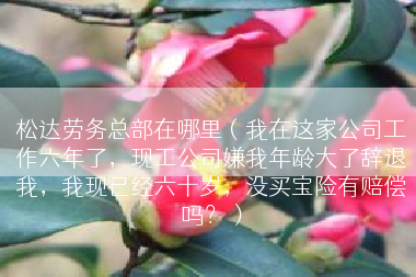 松达劳务总部在哪里（我在这家公司工作六年了，现工公司嫌我年龄大了辞退我，我现已经六十岁，没买宝险有赔偿吗？）