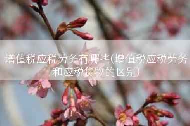 增值税应税劳务有哪些(增值税应税劳务和应税货物的区别)