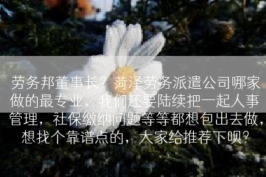 劳务邦董事长？菏泽劳务派遣公司哪家做的最专业，我们还要陆续把一起人事管理，社保缴纳问题等等都想包出去做，想找个靠谱点的，大家给推荐下呗？