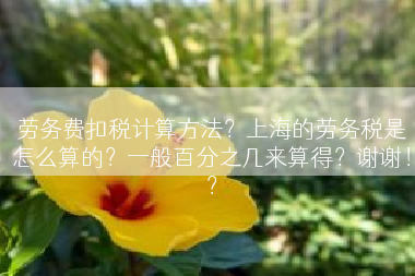 劳务费扣税计算方法？上海的劳务税是怎么算的？一般百分之几来算得？谢谢！？