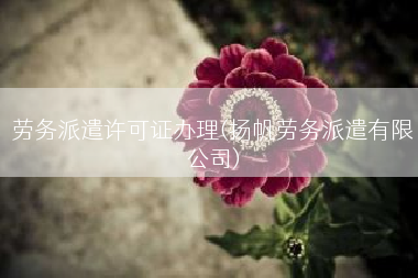 劳务派遣许可证办理(扬帆劳务派遣有限公司)