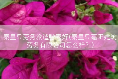 秦皇岛劳务派遣哪家好(秦皇岛嘉阳建筑劳务有限公司怎么样？)