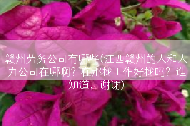 赣州劳务公司有哪些(江西赣州的人和人力公司在哪啊？在那找工作好找吗？谁知道，谢谢)