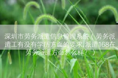 深圳市劳务派遣信息管理系统（劳务派遣工有没有学历方面的要求,派遣168在劳务派遣方面怎么样？）