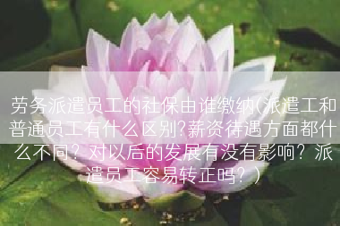 劳务派遣员工的社保由谁缴纳(派遣工和普通员工有什么区别?薪资待遇方面都什么不同？对以后的发展有没有影响？派遣员工容易转正吗？)
