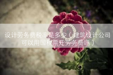 设计劳务费税率是多少（建筑设计公司可以用国税票开劳务费吗）