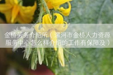 金桥劳务介绍所（漯河市金桥人力资源服务中心怎么样介绍的工作有保障没）