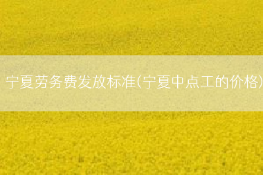 宁夏劳务费发放标准(宁夏中点工的价格)