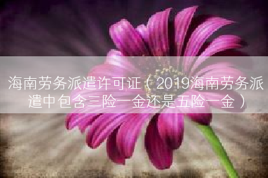 海南劳务派遣许可证（2019海南劳务派遣中包含三险一金还是五险一金）
