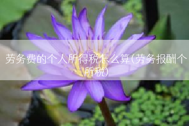 劳务费的个人所得税怎么算(劳务报酬个所税)