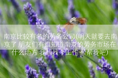 南京比较有名的劳务公司(明天就要去南京了 朋友们有谁知道南京的劳务市场在什么地方 我想找个工作 帮帮我吧)