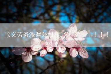 顺义劳务派遣公司?顺义职介！！！！！?