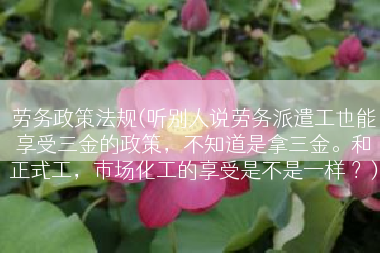 劳务政策法规(听别人说劳务派遣工也能享受三金的政策，不知道是拿三金。和正式工，市场化工的享受是不是一样 ？)
