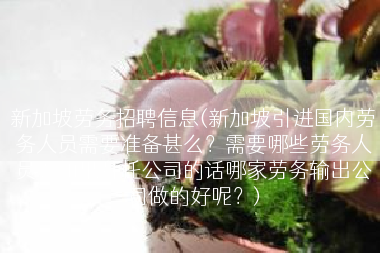 新加坡劳务招聘信息(新加坡引进国内劳务人员需要准备甚么？需要哪些劳务人员？如果拜托公司的话哪家劳务输出公司做的好呢？)