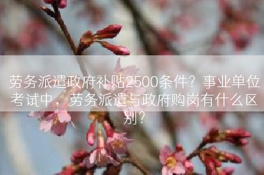 劳务派遣政府补贴2500条件？事业单位考试中，劳务派遣与政府购岗有什么区别？