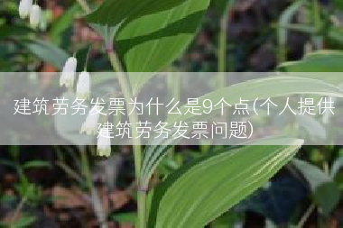 建筑劳务发票为什么是9个点(个人提供建筑劳务发票问题)
