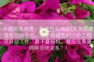 中建劳务派遣一般是什么岗位(劳务派遣没有劳动合同，在中国建筑的一个工程项目部工作，算不算侵权，我应该算是哪种劳动关系？)