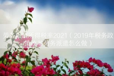劳务报酬所得税率2021（2019年税务政策改革劳务派遣怎么做）