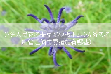 劳务人员花名册免费模板下载(劳务实名制管理的主要措施有哪些)