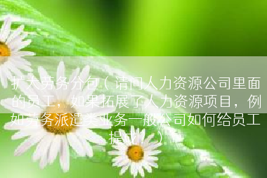 扩大劳务分包（请问人力资源公司里面的员工，如果拓展了人力资源项目，例如劳务派遣类业务一般公司如何给员工提成？）